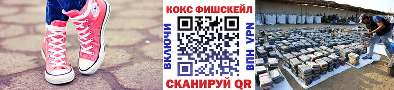 COCAIN Fish Scale  Чернушка 