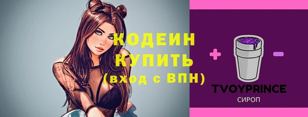 мескалин Богданович