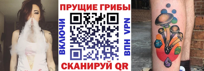 где найти   Чернушка  Галлюциногенные грибы MAGIC MUSHROOMS 